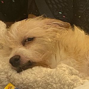 Meet your Posher, Charles